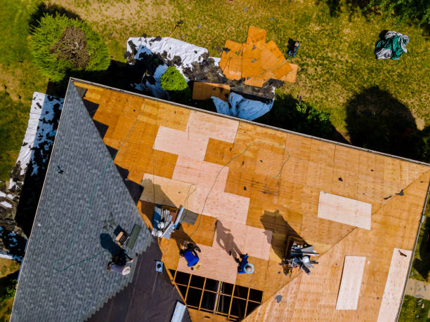 Best Metal Roofing Contractor  in Derby, KS