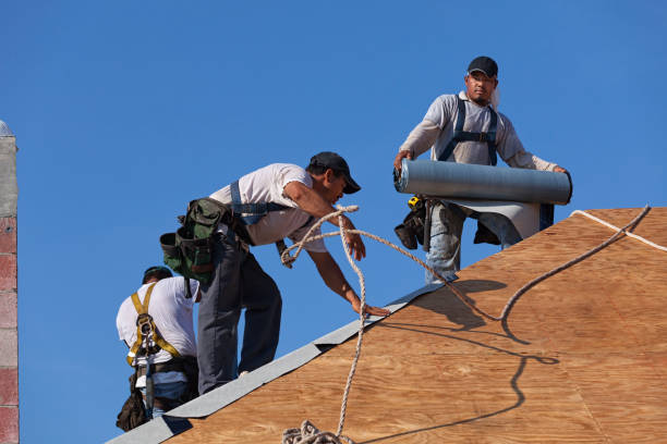 Best Roof Maintenance Services  in Derby, KS
