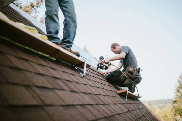 Best Roof Gutter Cleaning  in Derby, KS